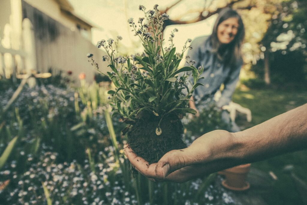 Leadership is like a garden — it requires cultivation.